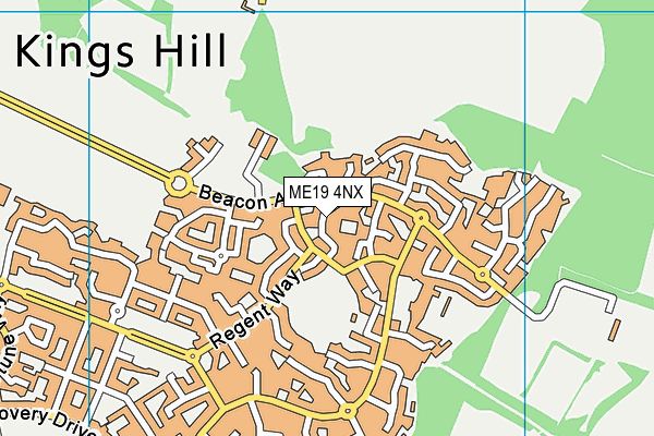 ME19 4NX map - OS VectorMap District (Ordnance Survey) ME19 4NX map - OS VectorMap District (Ordnance Survey)