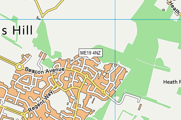 ME19 4NZ map - OS VectorMap District (Ordnance Survey) ME19 4NZ map - OS VectorMap District (Ordnance Survey)