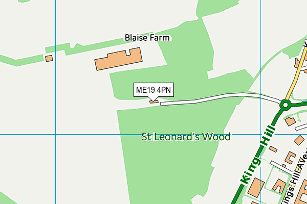 ME19 4PN map - OS VectorMap District (Ordnance Survey) ME19 4PN map - OS VectorMap District (Ordnance Survey)