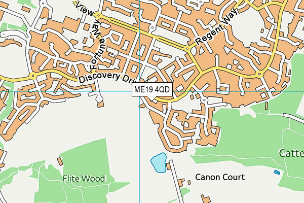 ME19 4QD map - OS VectorMap District (Ordnance Survey) ME19 4QD map - OS VectorMap District (Ordnance Survey)