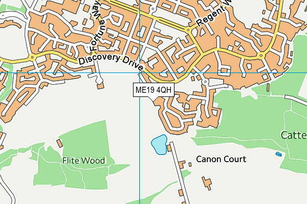 ME19 4QH map - OS VectorMap District (Ordnance Survey) ME19 4QH map - OS VectorMap District (Ordnance Survey)