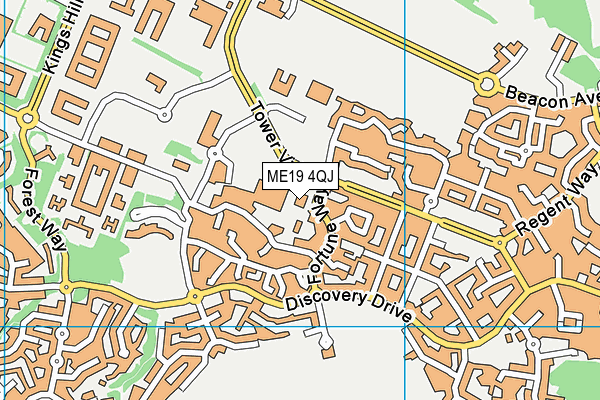 ME19 4QJ map - OS VectorMap District (Ordnance Survey) ME19 4QJ map - OS VectorMap District (Ordnance Survey)