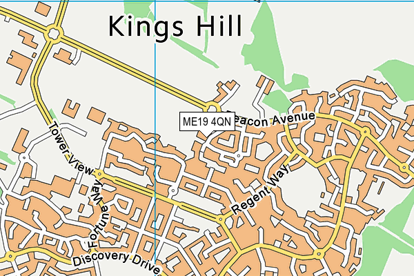ME19 4QN map - OS VectorMap District (Ordnance Survey)