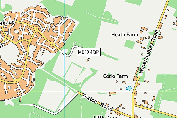 ME19 4QP map - OS VectorMap District (Ordnance Survey) ME19 4QP map - OS VectorMap District (Ordnance Survey)
