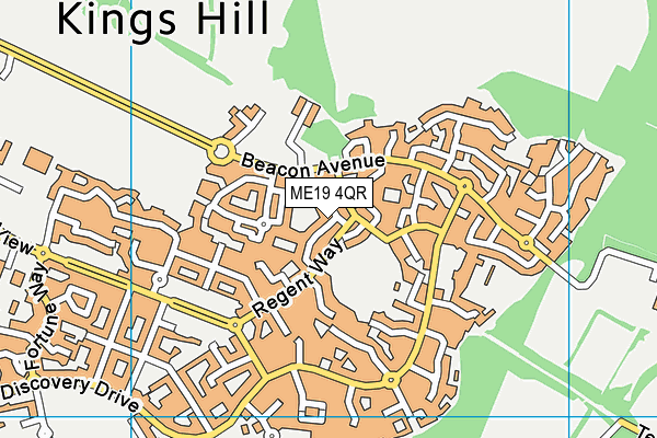 ME19 4QR map - OS VectorMap District (Ordnance Survey) ME19 4QR map - OS VectorMap District (Ordnance Survey)