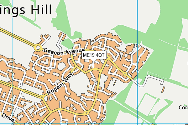 ME19 4QT map - OS VectorMap District (Ordnance Survey) ME19 4QT map - OS VectorMap District (Ordnance Survey)
