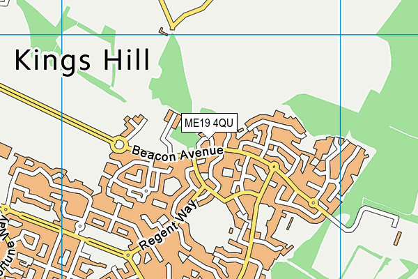 ME19 4QU map - OS VectorMap District (Ordnance Survey)