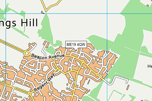 ME19 4QW map - OS VectorMap District (Ordnance Survey) ME19 4QW map - OS VectorMap District (Ordnance Survey)