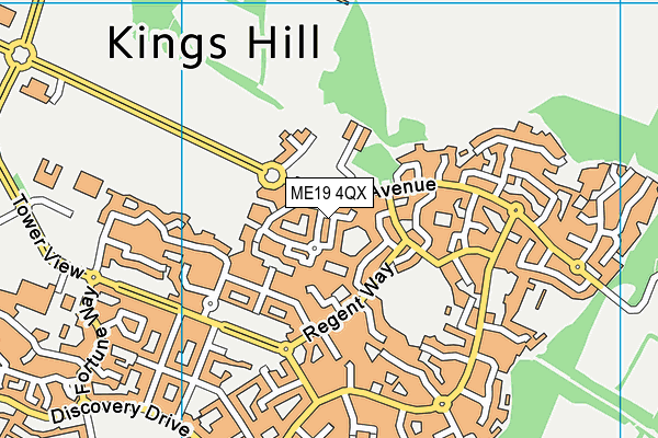 ME19 4QX map - OS VectorMap District (Ordnance Survey) ME19 4QX map - OS VectorMap District (Ordnance Survey)