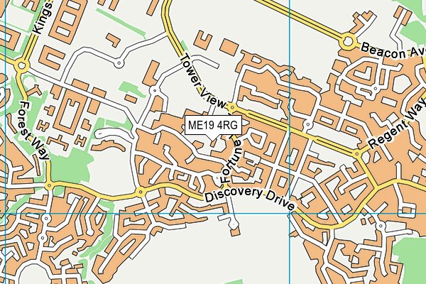 ME19 4RG map - OS VectorMap District (Ordnance Survey) ME19 4RG map - OS VectorMap District (Ordnance Survey)