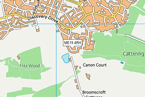 ME19 4RH map - OS VectorMap District (Ordnance Survey) ME19 4RH map - OS VectorMap District (Ordnance Survey)