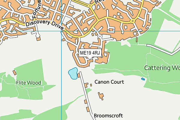 ME19 4RJ map - OS VectorMap District (Ordnance Survey) ME19 4RJ map - OS VectorMap District (Ordnance Survey)