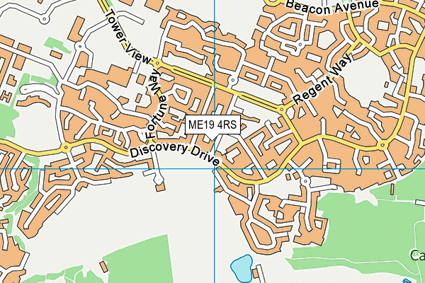 ME19 4RS map - OS VectorMap District (Ordnance Survey) ME19 4RS map - OS VectorMap District (Ordnance Survey)