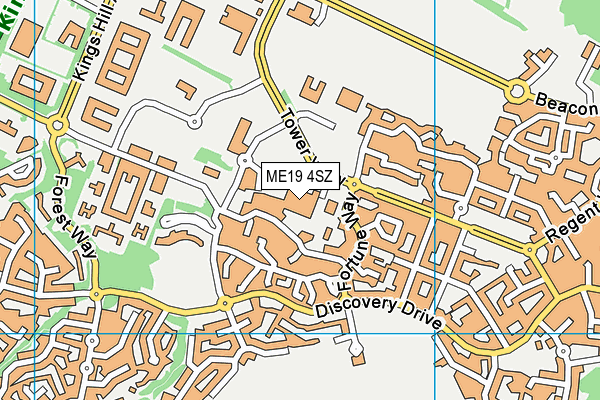 ME19 4SZ map - OS VectorMap District (Ordnance Survey) ME19 4SZ map - OS VectorMap District (Ordnance Survey)