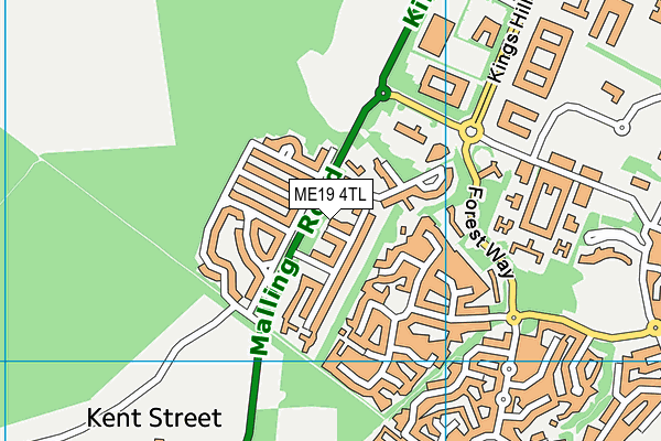 ME19 4TL map - OS VectorMap District (Ordnance Survey) ME19 4TL map - OS VectorMap District (Ordnance Survey)