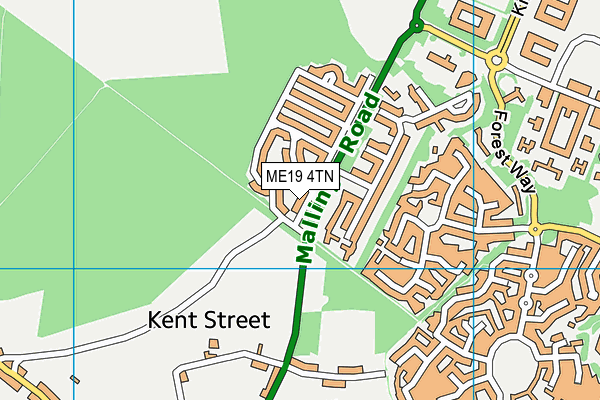 ME19 4TN map - OS VectorMap District (Ordnance Survey) ME19 4TN map - OS VectorMap District (Ordnance Survey)