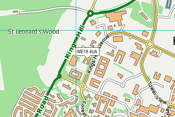 ME19 4UA map - OS VectorMap District (Ordnance Survey) ME19 4UA map - OS VectorMap District (Ordnance Survey)