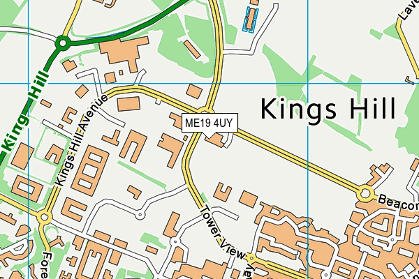 ME19 4UY map - OS VectorMap District (Ordnance Survey) ME19 4UY map - OS VectorMap District (Ordnance Survey)