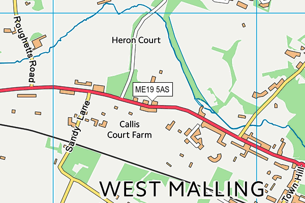 ME19 5AS map - OS VectorMap District (Ordnance Survey) ME19 5AS map - OS VectorMap District (Ordnance Survey)