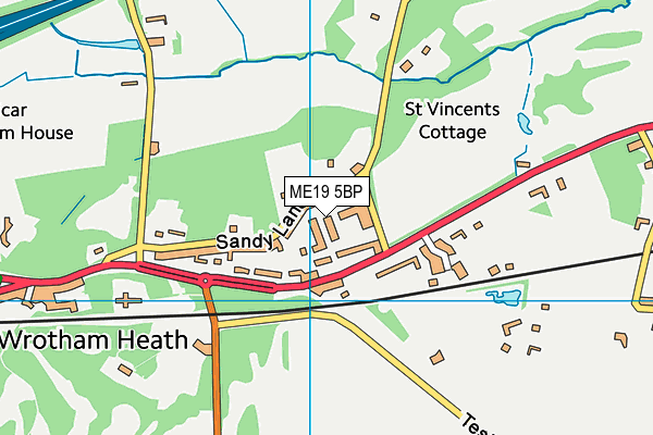 ME19 5BP map - OS VectorMap District (Ordnance Survey) ME19 5BP map - OS VectorMap District (Ordnance Survey)