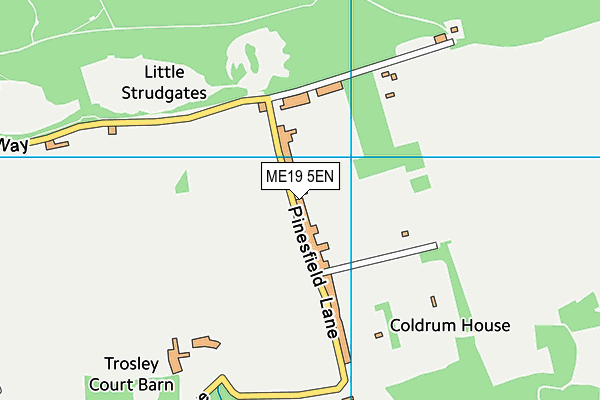 ME19 5EN map - OS VectorMap District (Ordnance Survey) ME19 5EN map - OS VectorMap District (Ordnance Survey)