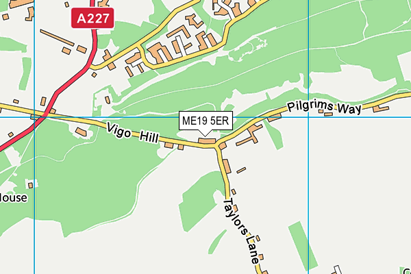 ME19 5ER map - OS VectorMap District (Ordnance Survey) ME19 5ER map - OS VectorMap District (Ordnance Survey)