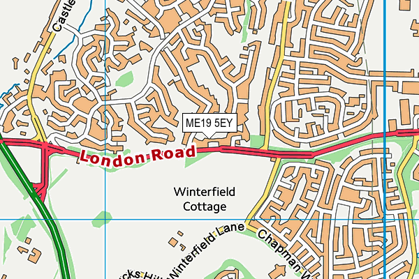 ME19 5EY map - OS VectorMap District (Ordnance Survey) ME19 5EY map - OS VectorMap District (Ordnance Survey)