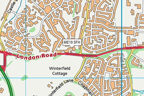 ME19 5FH map - OS VectorMap District (Ordnance Survey) ME19 5FH map - OS VectorMap District (Ordnance Survey)