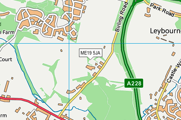 ME19 5JA map - OS VectorMap District (Ordnance Survey) ME19 5JA map - OS VectorMap District (Ordnance Survey)