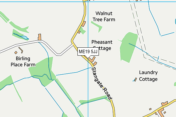 ME19 5JJ map - OS VectorMap District (Ordnance Survey) ME19 5JJ map - OS VectorMap District (Ordnance Survey)
