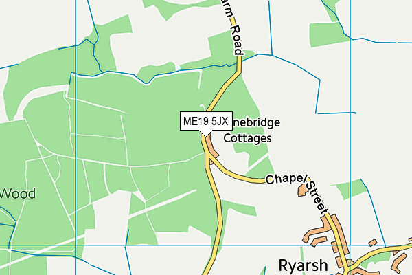 ME19 5JX map - OS VectorMap District (Ordnance Survey) ME19 5JX map - OS VectorMap District (Ordnance Survey)
