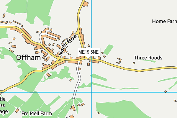 ME19 5NE map - OS VectorMap District (Ordnance Survey) ME19 5NE map - OS VectorMap District (Ordnance Survey)