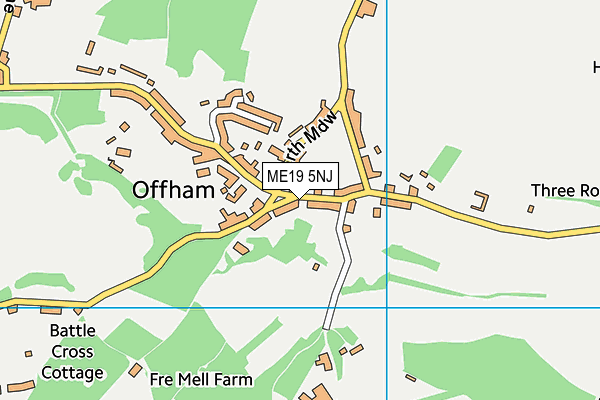 ME19 5NJ map - OS VectorMap District (Ordnance Survey) ME19 5NJ map - OS VectorMap District (Ordnance Survey)