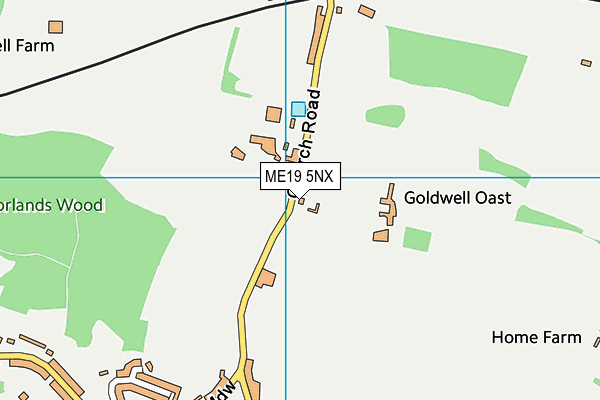ME19 5NX map - OS VectorMap District (Ordnance Survey) ME19 5NX map - OS VectorMap District (Ordnance Survey)
