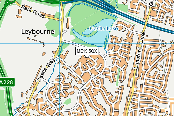 ME19 5QX map - OS VectorMap District (Ordnance Survey) ME19 5QX map - OS VectorMap District (Ordnance Survey)