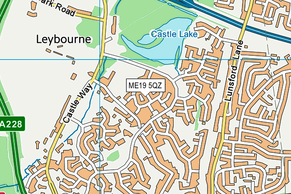 ME19 5QZ map - OS VectorMap District (Ordnance Survey) ME19 5QZ map - OS VectorMap District (Ordnance Survey)