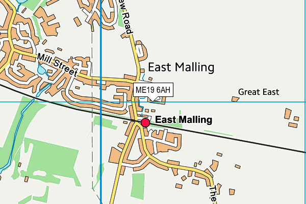 ME19 6AH map - OS VectorMap District (Ordnance Survey) ME19 6AH map - OS VectorMap District (Ordnance Survey)