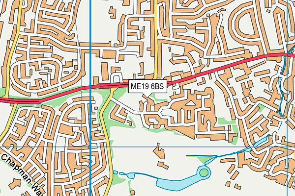 ME19 6BS map - OS VectorMap District (Ordnance Survey) ME19 6BS map - OS VectorMap District (Ordnance Survey)