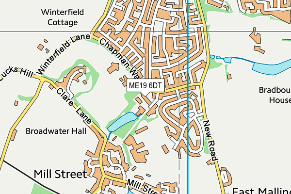 ME19 6DT map - OS VectorMap District (Ordnance Survey) ME19 6DT map - OS VectorMap District (Ordnance Survey)