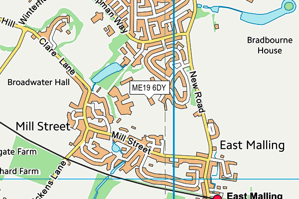 ME19 6DY map - OS VectorMap District (Ordnance Survey) ME19 6DY map - OS VectorMap District (Ordnance Survey)