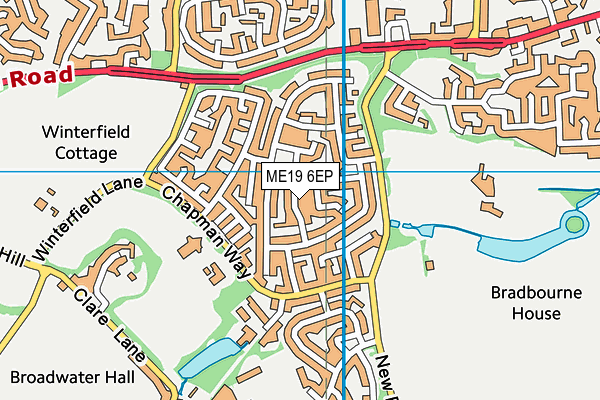 ME19 6EP map - OS VectorMap District (Ordnance Survey) ME19 6EP map - OS VectorMap District (Ordnance Survey)