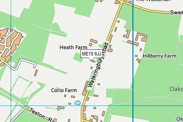 ME19 6JJ map - OS VectorMap District (Ordnance Survey) ME19 6JJ map - OS VectorMap District (Ordnance Survey)