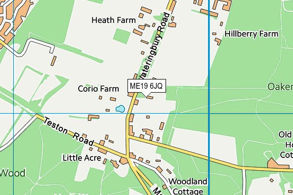 ME19 6JQ map - OS VectorMap District (Ordnance Survey) ME19 6JQ map - OS VectorMap District (Ordnance Survey)