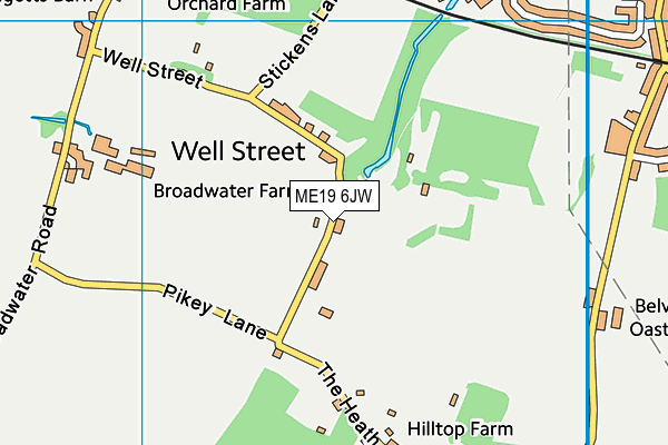 ME19 6JW map - OS VectorMap District (Ordnance Survey) ME19 6JW map - OS VectorMap District (Ordnance Survey)