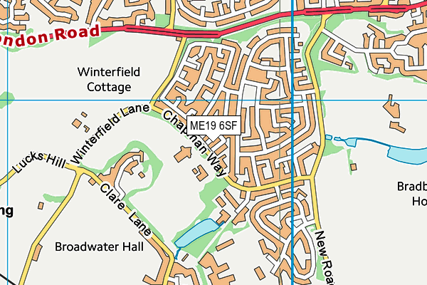 ME19 6SF map - OS VectorMap District (Ordnance Survey) ME19 6SF map - OS VectorMap District (Ordnance Survey)