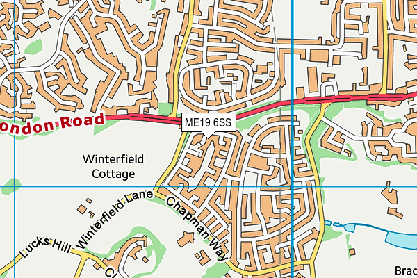 ME19 6SS map - OS VectorMap District (Ordnance Survey) ME19 6SS map - OS VectorMap District (Ordnance Survey)