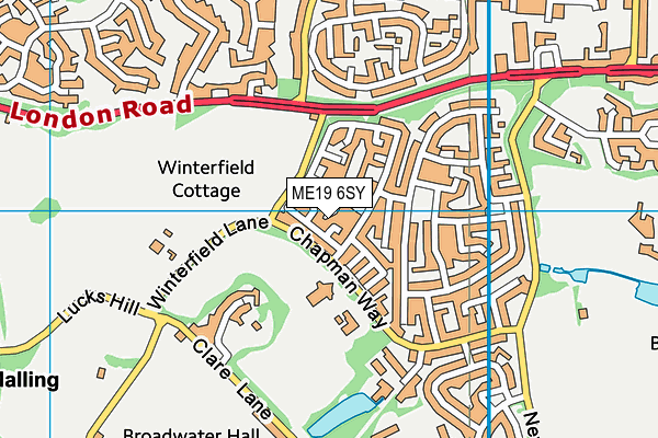 ME19 6SY map - OS VectorMap District (Ordnance Survey) ME19 6SY map - OS VectorMap District (Ordnance Survey)