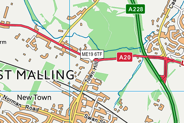 ME19 6TF map - OS VectorMap District (Ordnance Survey) ME19 6TF map - OS VectorMap District (Ordnance Survey)