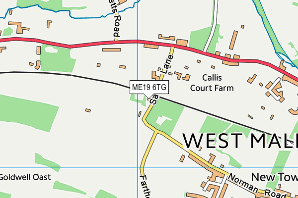 ME19 6TG map - OS VectorMap District (Ordnance Survey) ME19 6TG map - OS VectorMap District (Ordnance Survey)