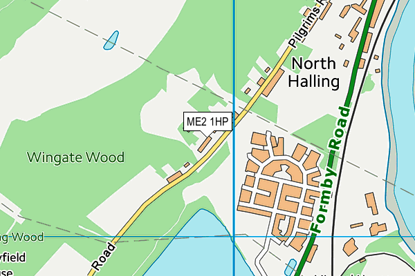 ME2 1HP map - OS VectorMap District (Ordnance Survey) ME2 1HP map - OS VectorMap District (Ordnance Survey)